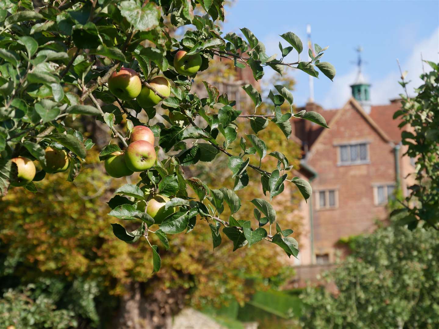 Chartwell is reopening Picture: National Trust Images/ Rachael Warren