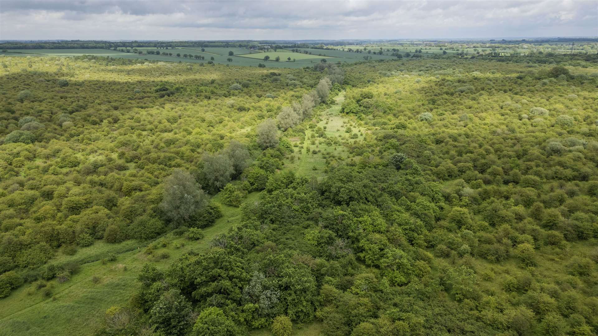 Strawberry Hill’s habitat is ‘overbrimming with wildlife’ (Holly Wilkinson/PA)