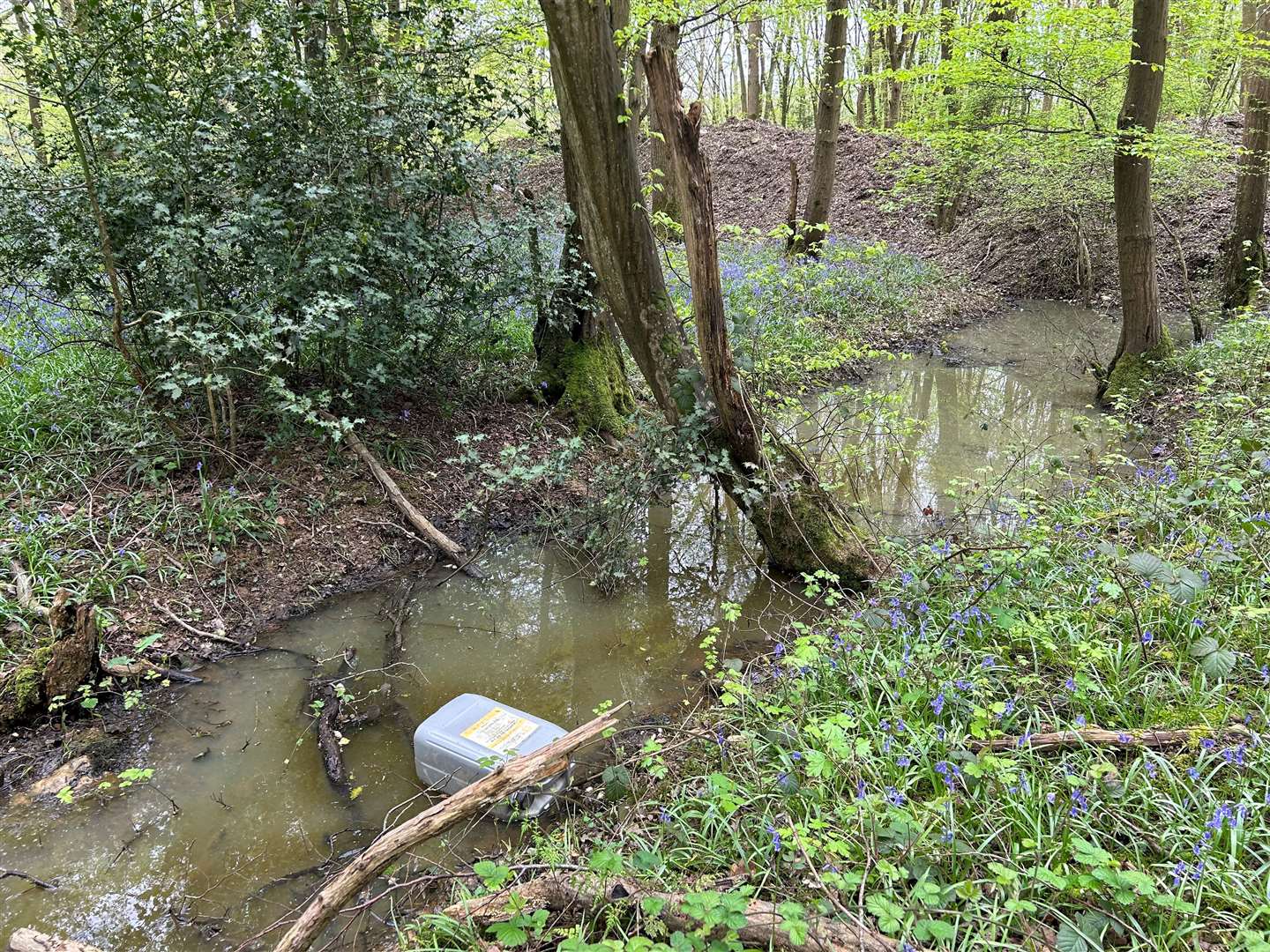 An empty jerry can in the woodland