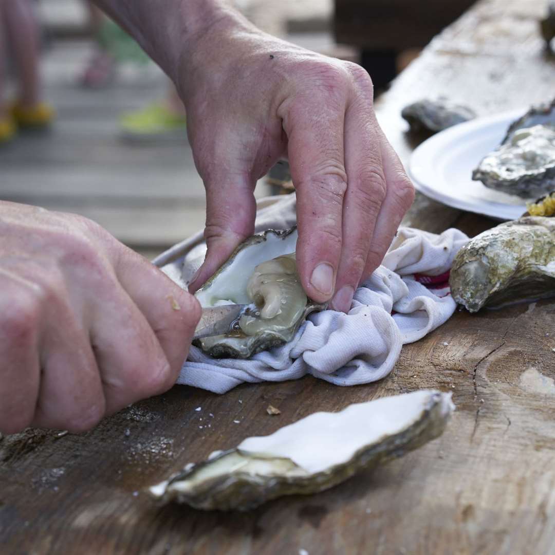 Shucking an oyster in Whitstable Bay