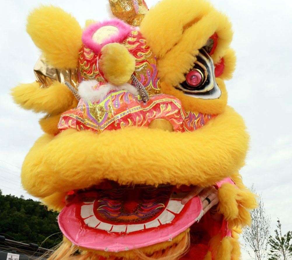 Chinese Lions were walking around. Picture: Cohesion Plus