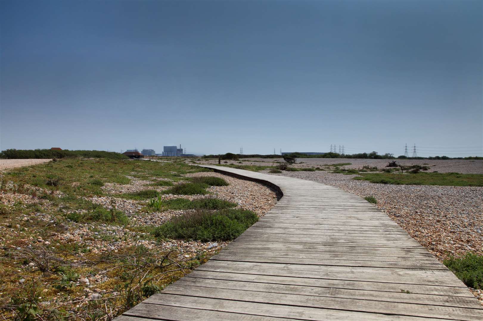 Dungeness is also home to the RSPB reserve Picture: RSPB Images (43743410)