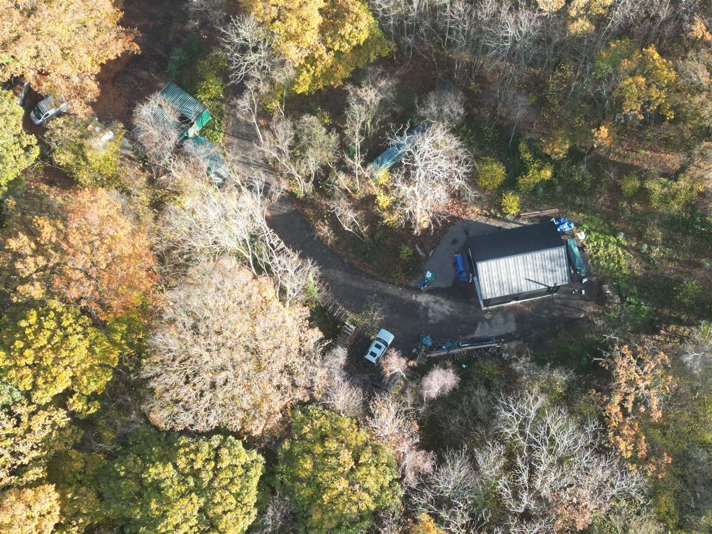 A building in the woods at Adisham. Picture: Barry Goodwin