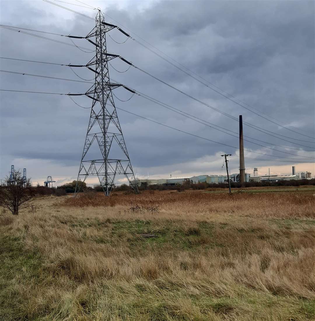 Swanscombe Marshes where there are plans to build the London Resort theme park