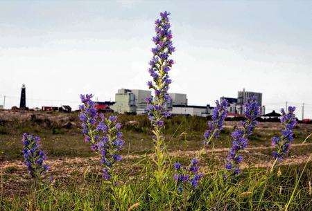 The imposing landscape at Dungeness. Picture: Ruth Cureden