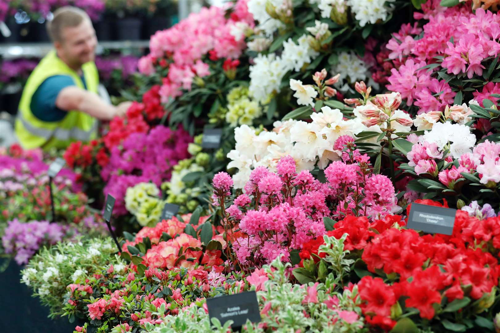 The Millais Nursery exhibit being created for the RHS Chelsea Flower Show 2019 (RHS/Luke MacGregor/PA)