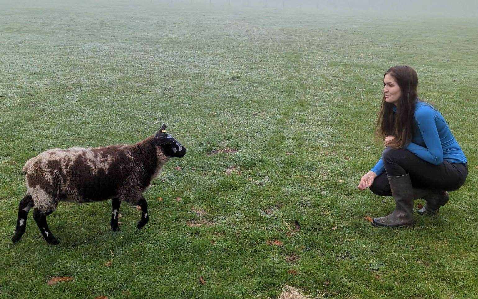 Millie and Flause during clicker training. Picture: Millie Clark