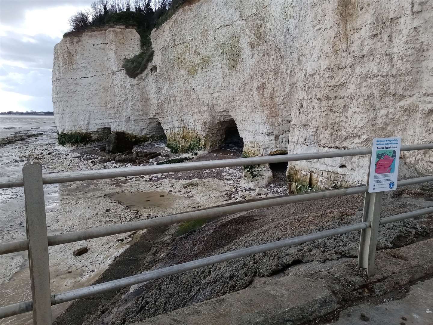 It was found at Western Undercliff Beach, an artificial beach in Ramsgate