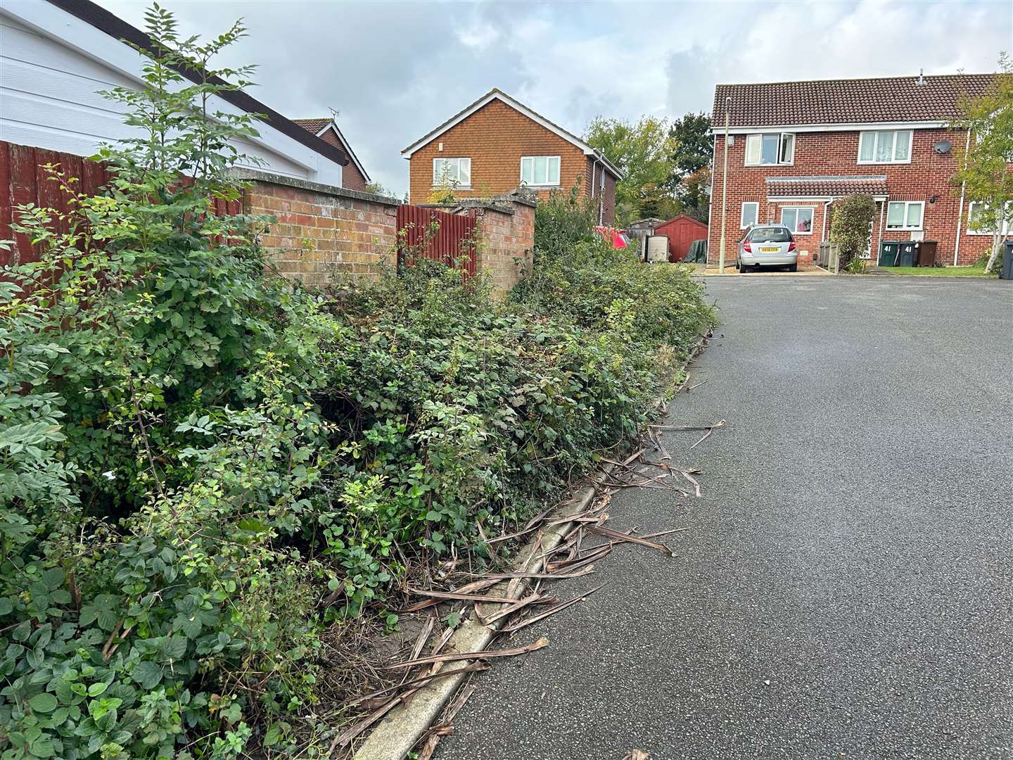 This patch of land outside Mr Baynes’ home in Newlands, Ashford, is owned by KCC