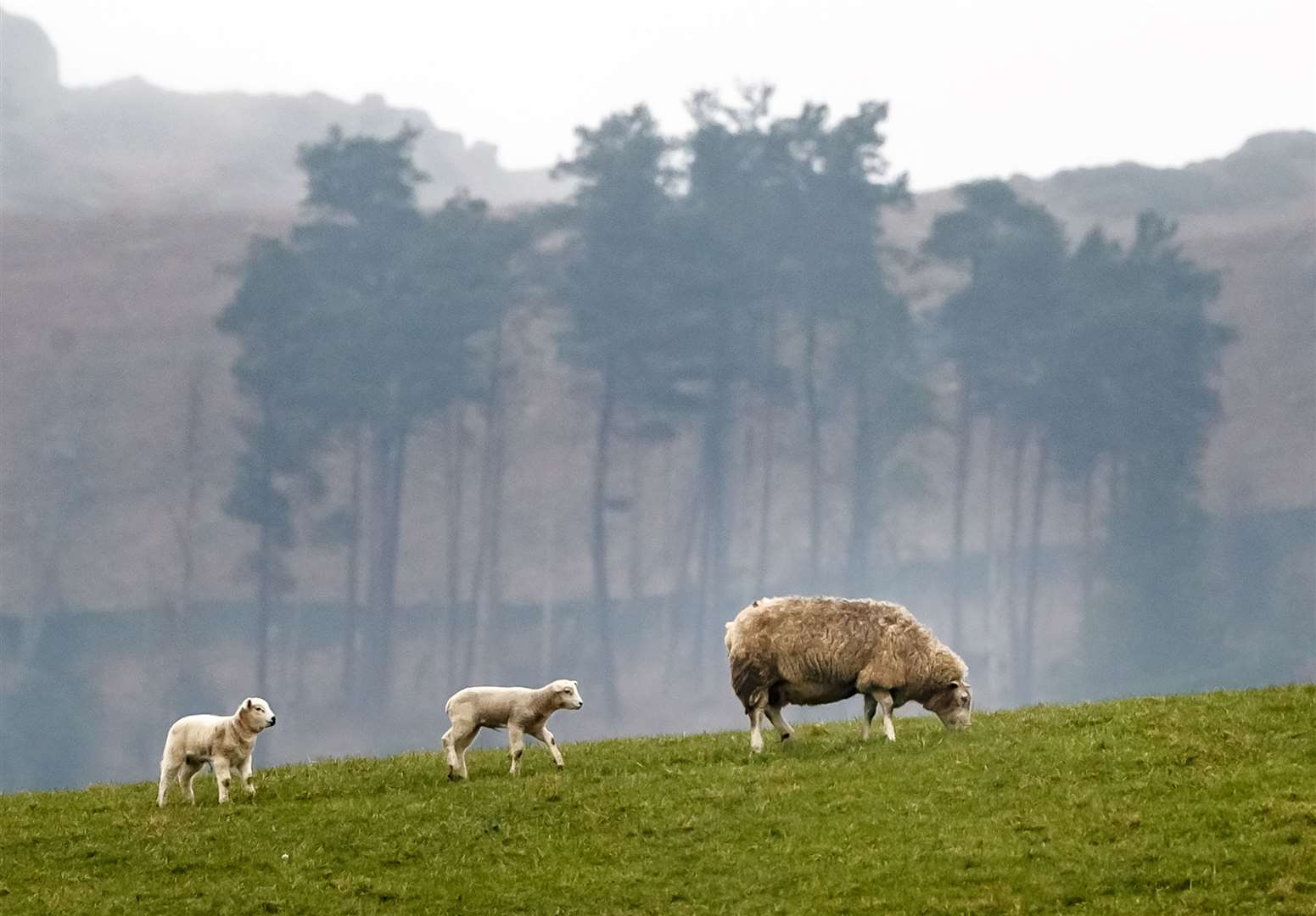 There has been sustained outrage among farmers at the changes announced in the Budget (Danny Lawson/PA)