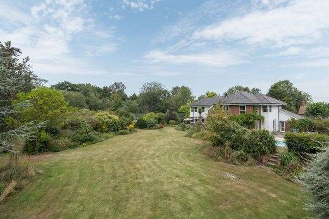 Six-bed detached house in Broomfield Road. Picture: Zoopla / Strutt & Parker