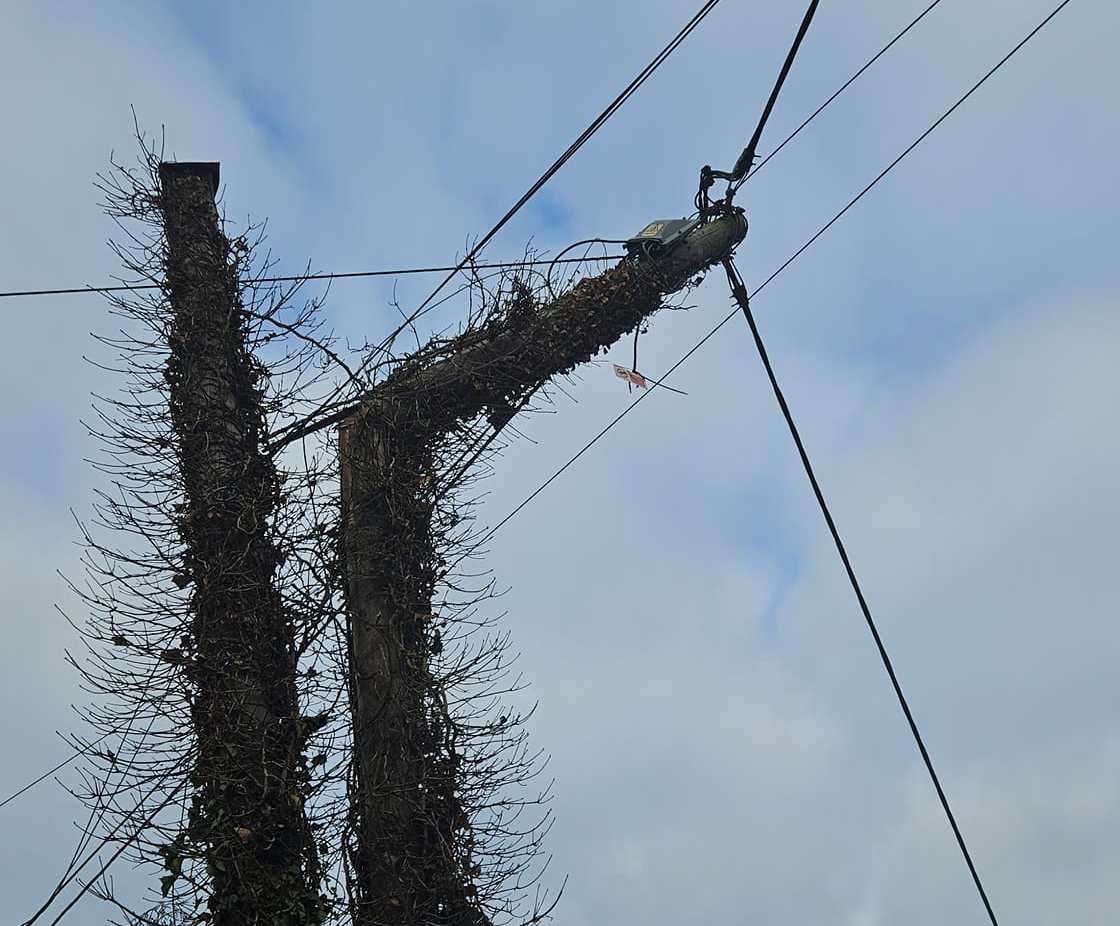 A power line has been damaged. Picture: John Tilson