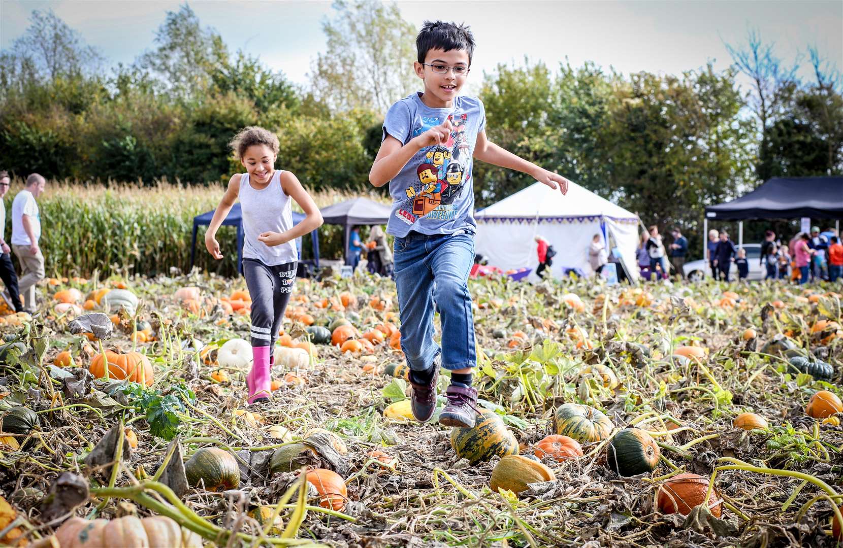 Pick Your Own at Pumpkin Moon last year. Franklin Ram, 8, and Imogen Jones, 8, run through the field. Picture: Matthew Walker