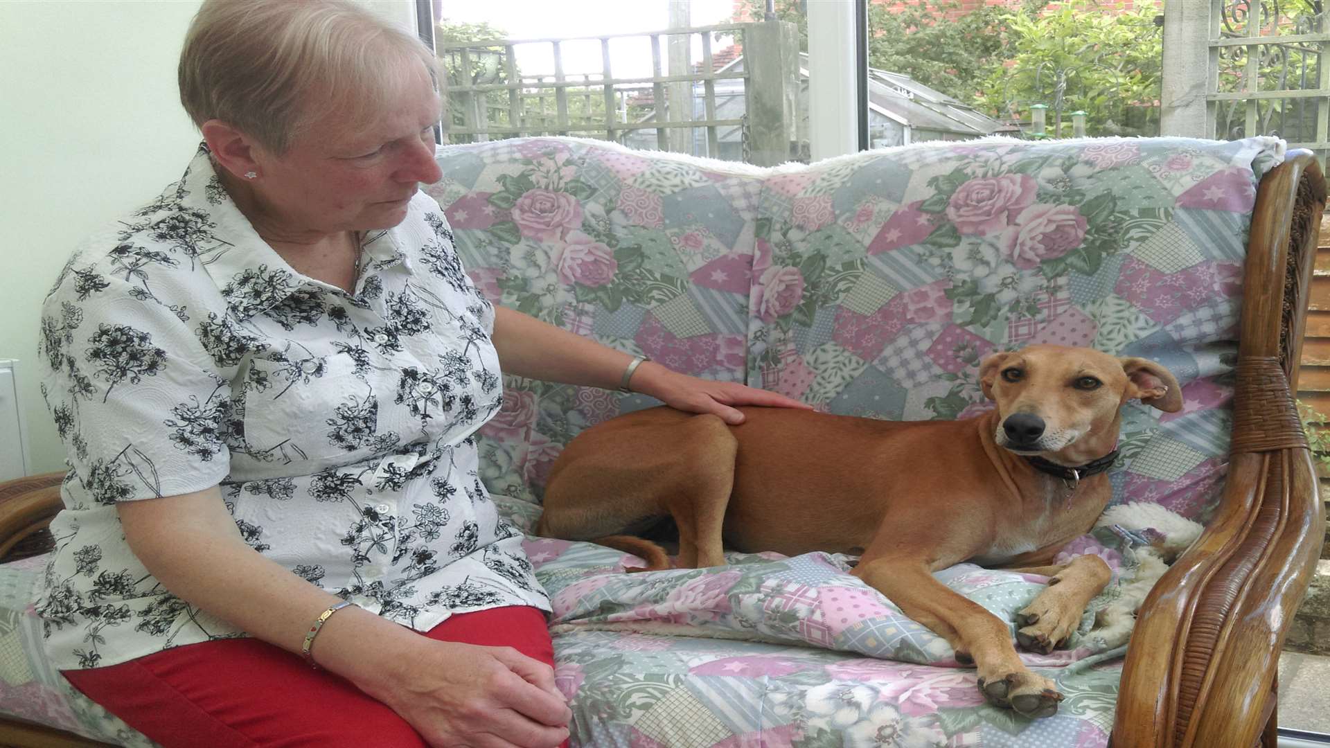 Hazel Catt took in Snoopy, now called Lily, when she found her on the side of the road