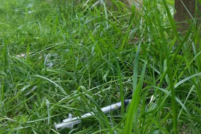 A syringe at Cowgate Cemetery. Photo by Ian Palmer.