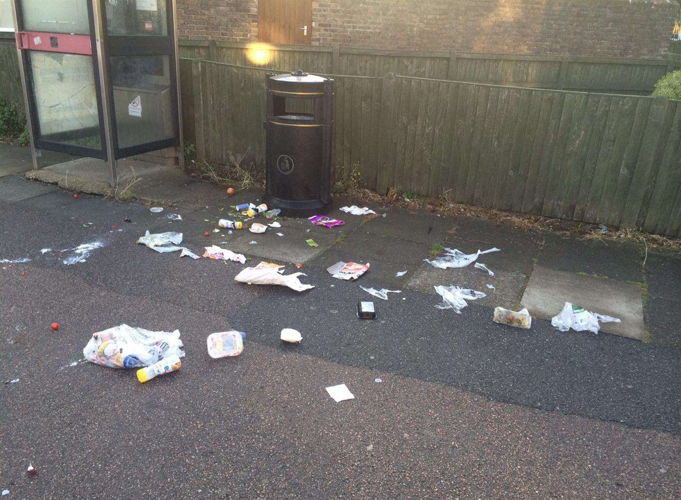 Litter on Blenheim Road