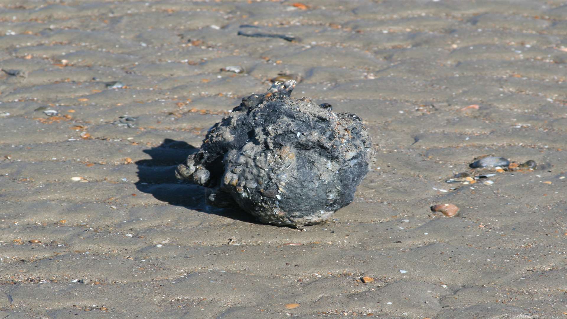 This World War Two shell was found last year in Sandwich Bay