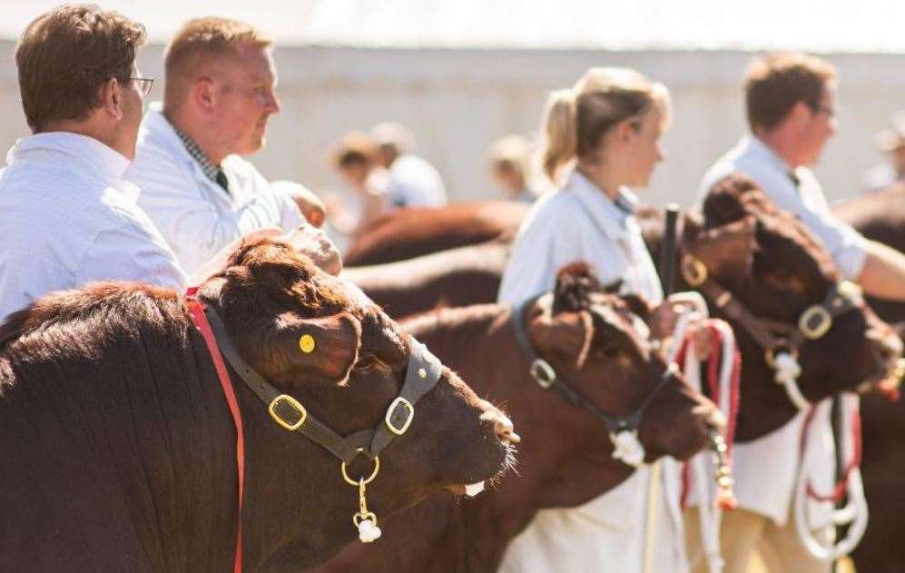 The Kent County Show starts on Friday