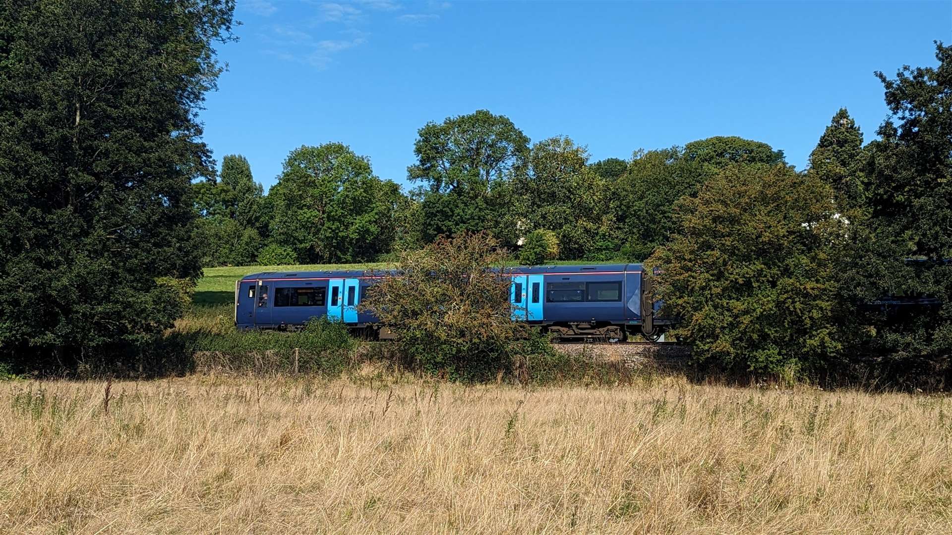 Trains trundle by on the Medway Valley Line