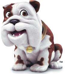 Churchill, the Churchill Insurance company mascot