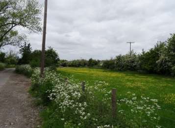 Elm Lane - as it is now