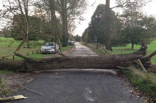 Hollingbourne Hill is closed. Library picture