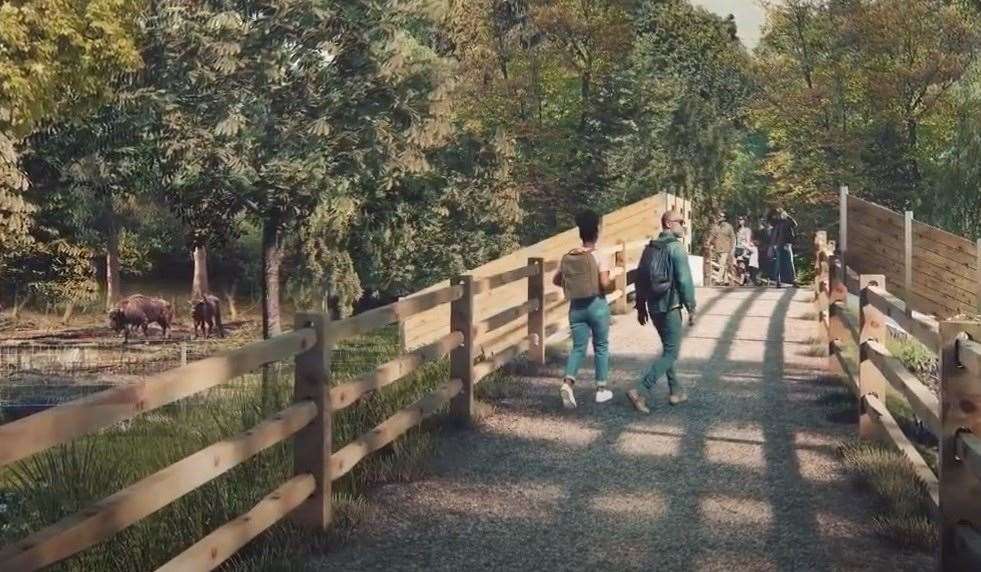 An artist's impression of the Bison bridges in Blean Woods. Image: Russell Perry Studios