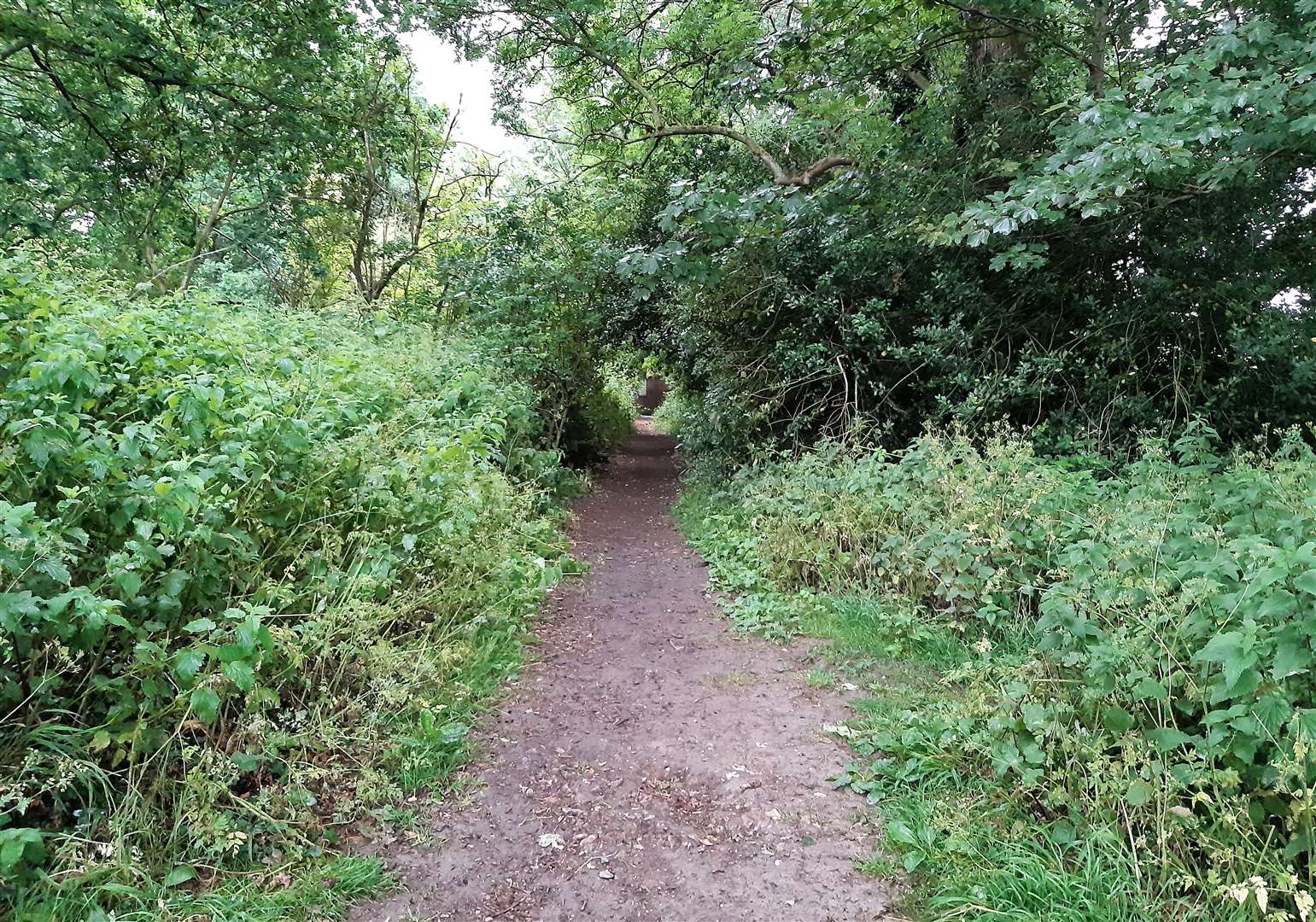 The footballers will use this footpath to reach the pitches