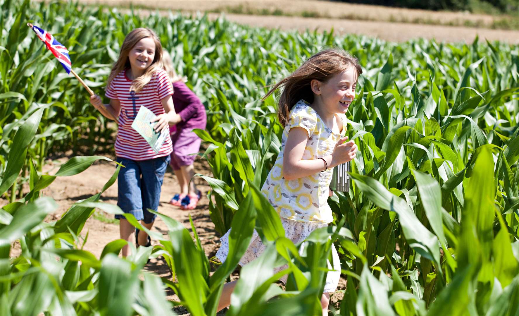 The Maize Maze at Penshurst Place