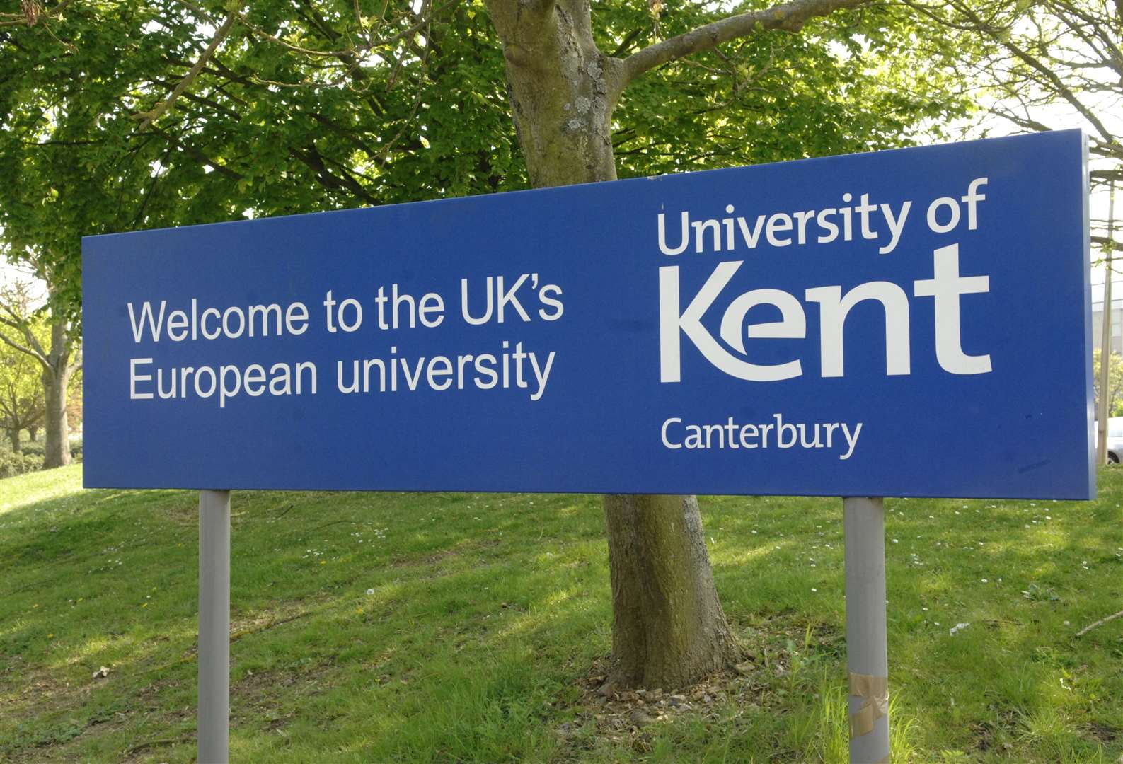 A conference on Taylor Swift is taking place at The University of Kent in Canterbury. Picture: Chris Davey