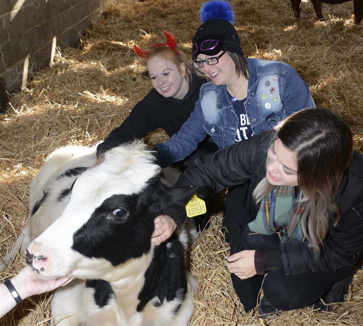 The Retreat, near Ashford, is the perfect day out for animal lovers. Picture: Paul Amos