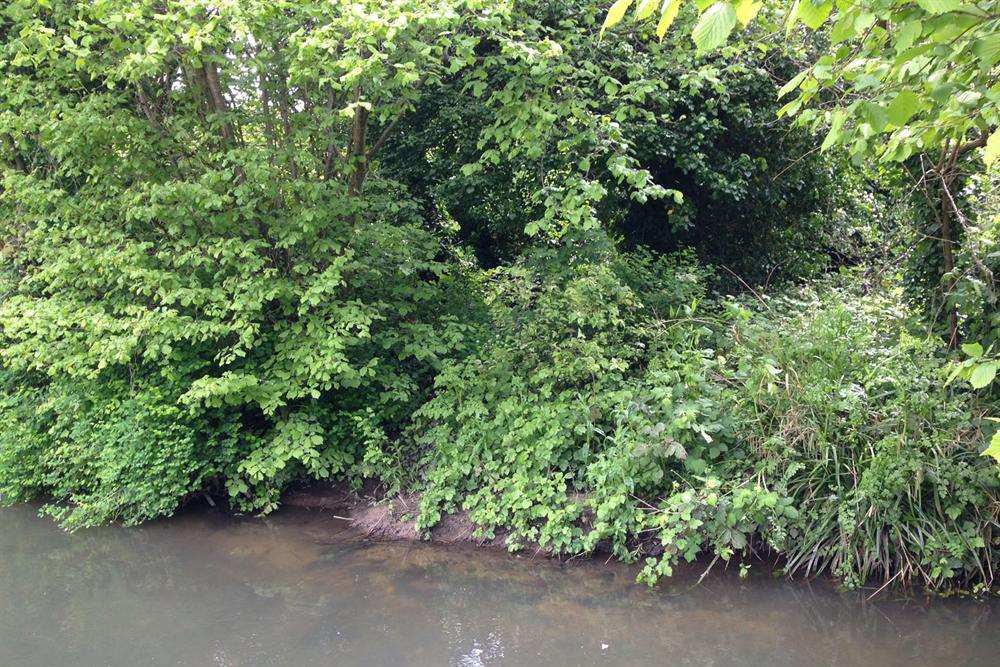 The plot of land is surrounded on three sides by water