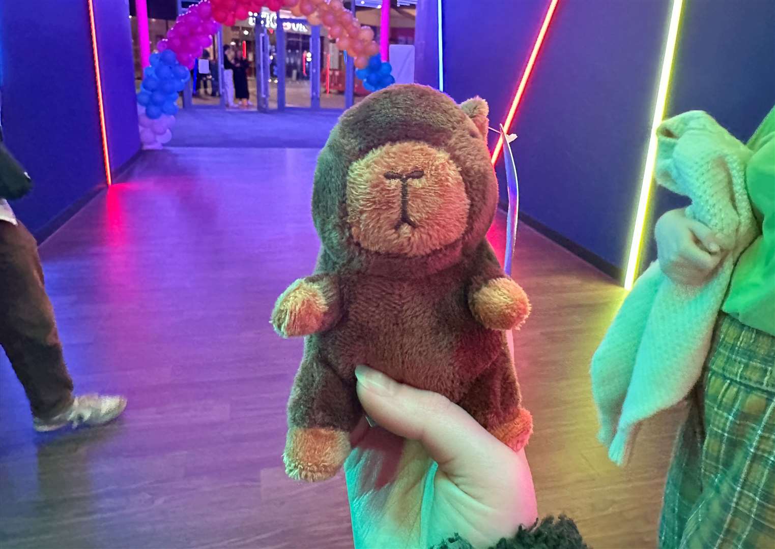 I was delighted to win a capybara on a grabber machine, but it did set me back £3