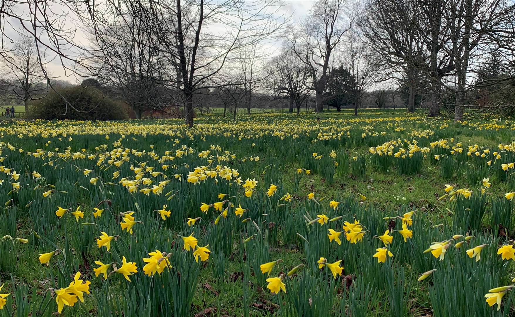 Godinton House will open early for visitors to celebrate Mothering Sunday. Picture: Godinton House and Gardens