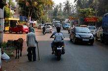 The young, the old...and cattle share the road in this typical village street in Goa