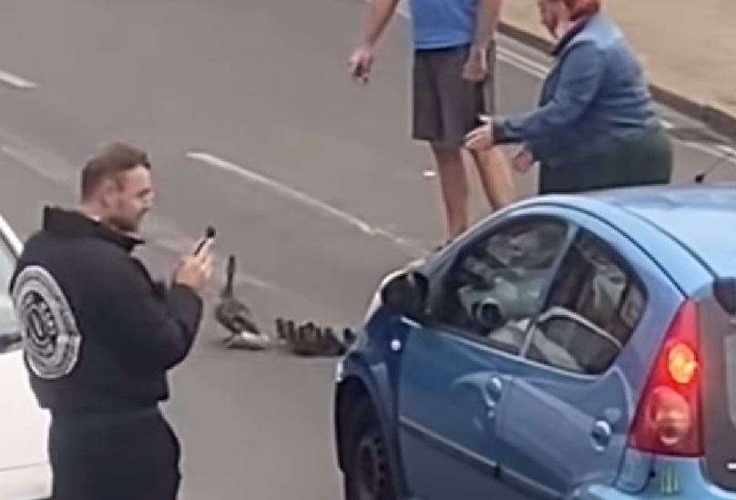 The ducks being helped across the road and onto the pavement in the high street. Picture: Claire Caskey