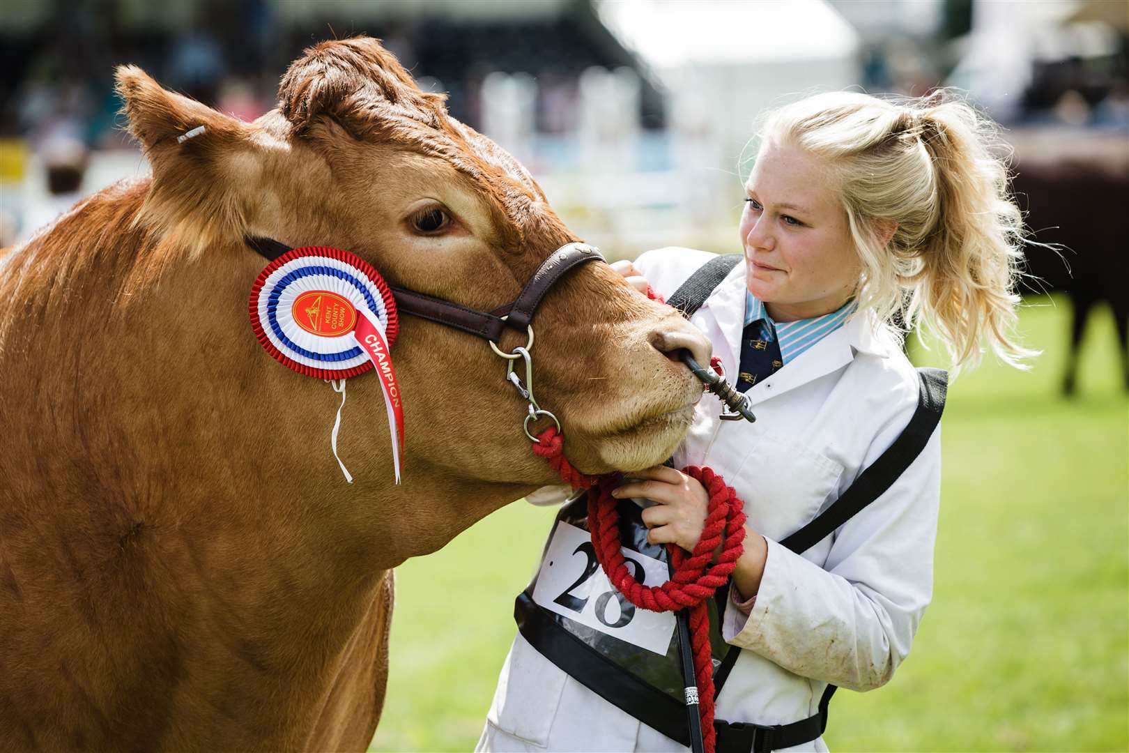 The weekend weather looks good for the Kent County Show