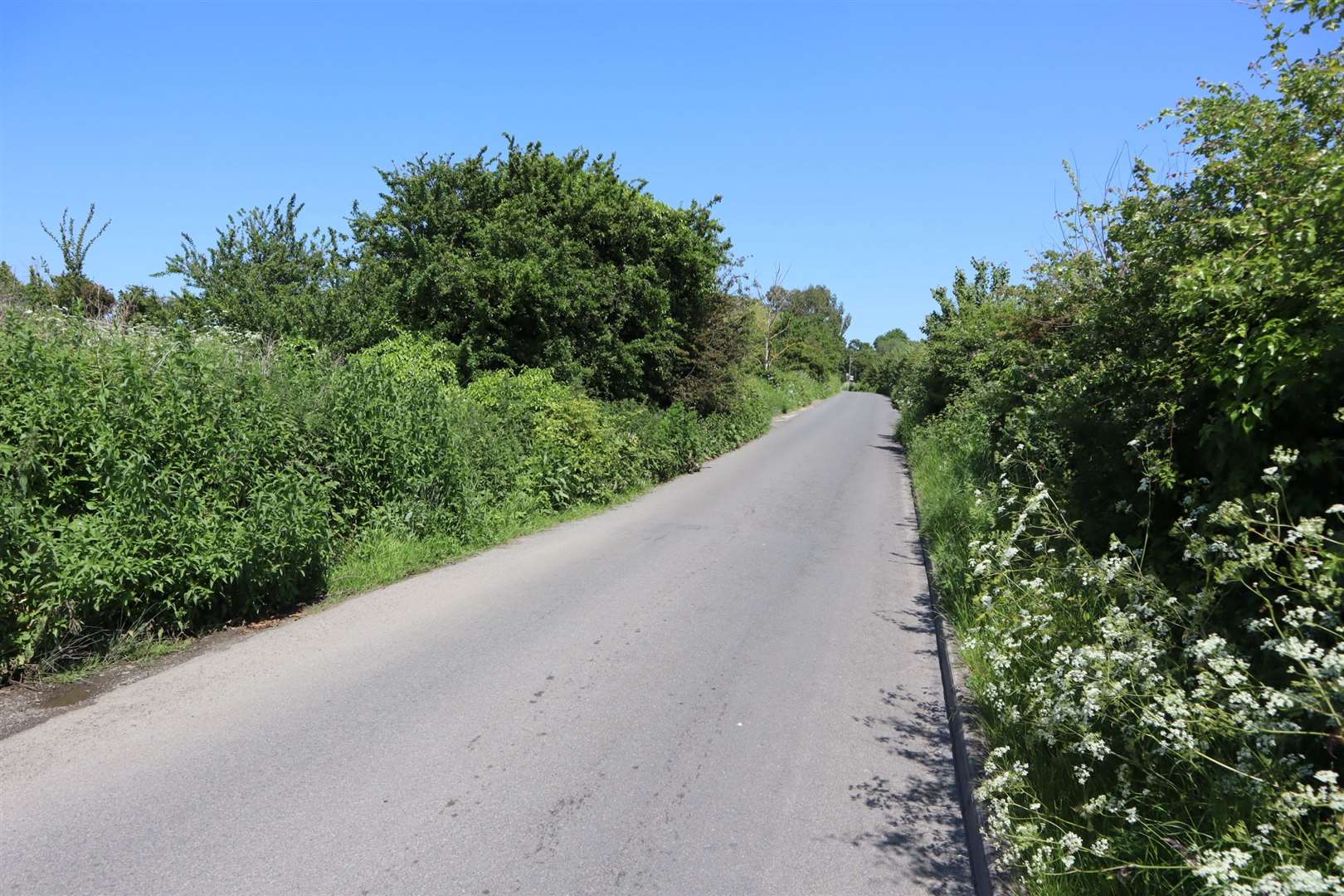 Elm Lane at Minster, Sheppey, where houses are planned