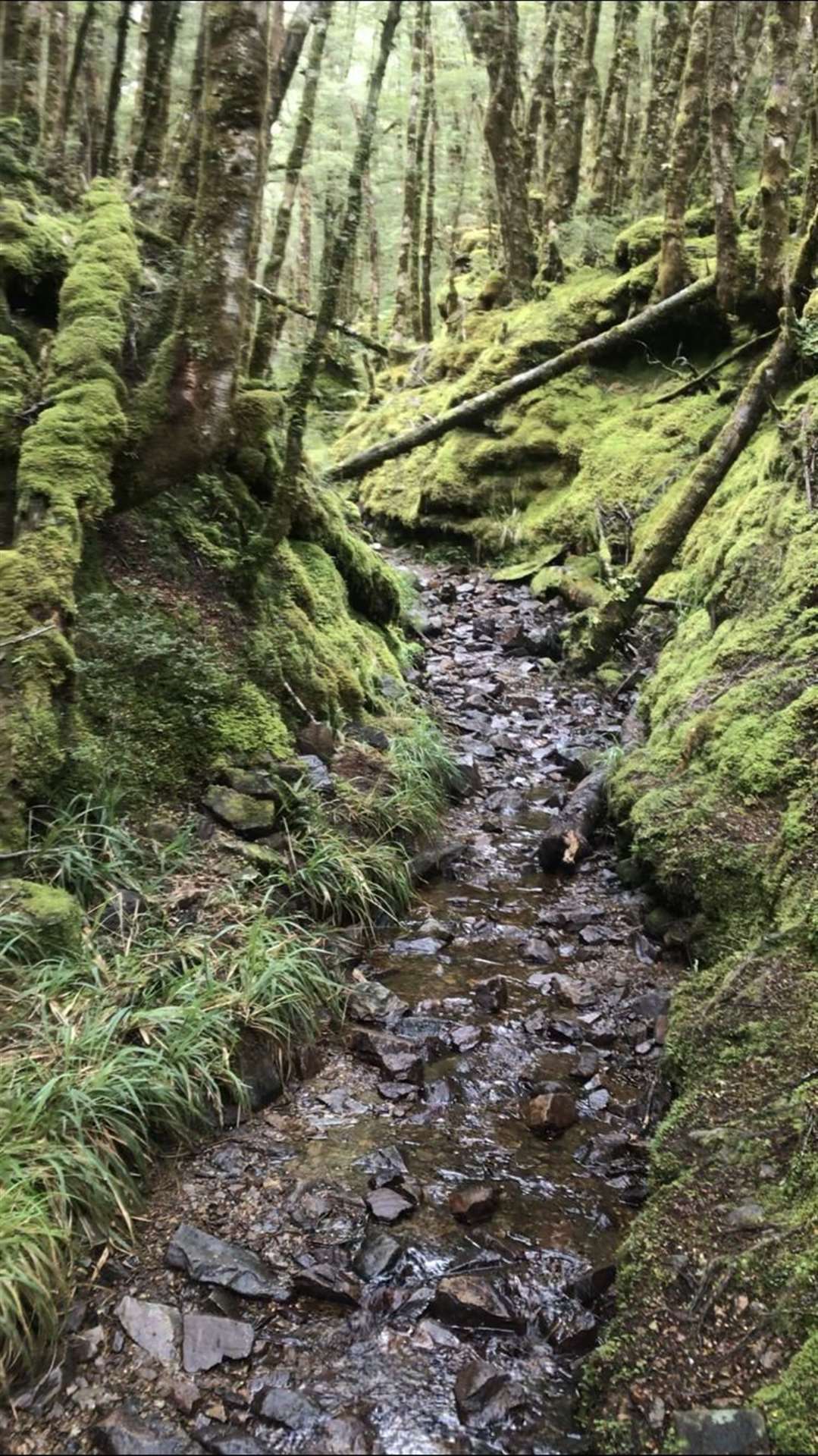 Mountain trails often became torrents of water, with this particular one "not even being the hardest"" the bike fan faced