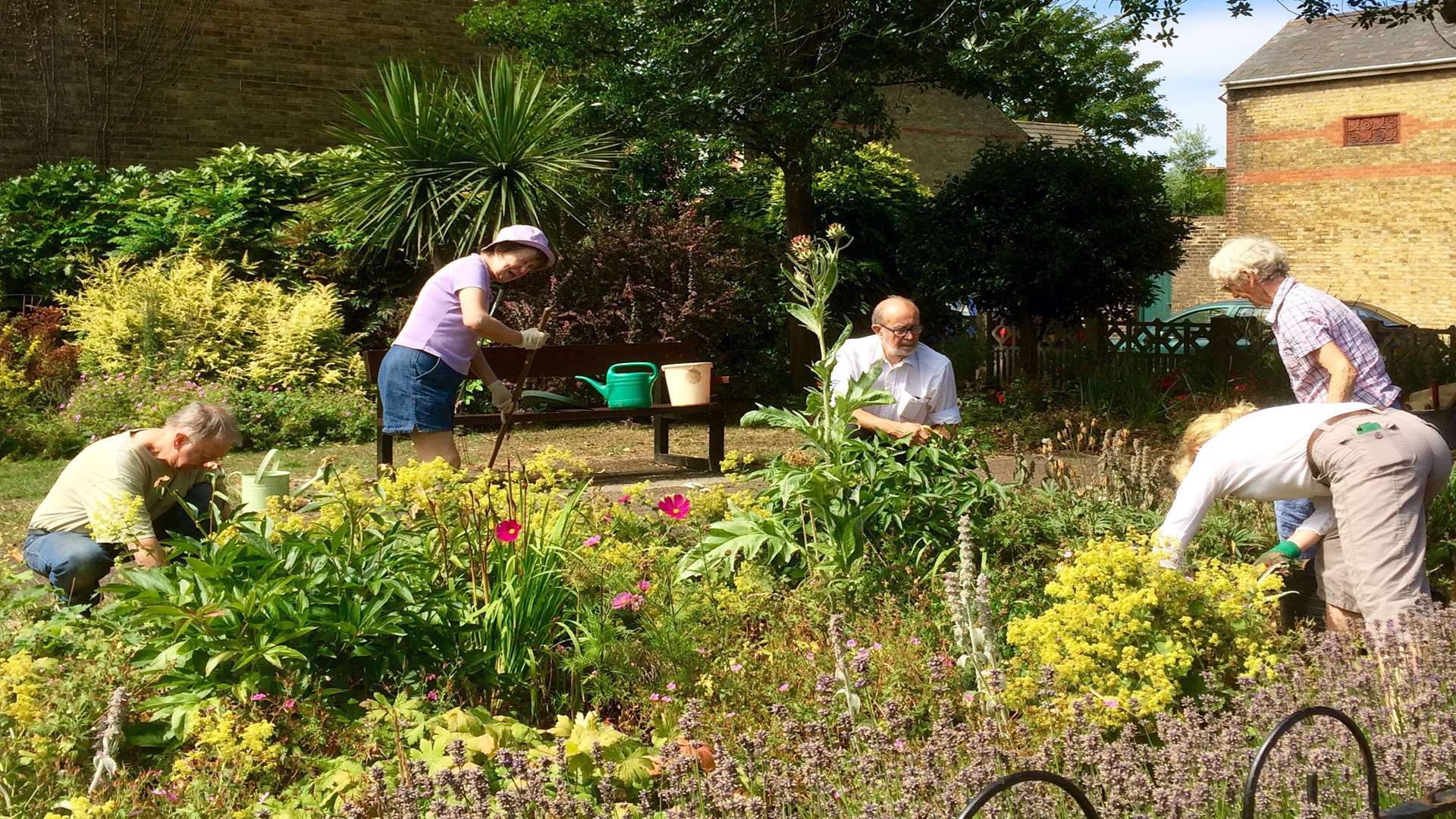 Summer in the memorial garden.