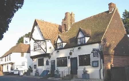 GREAT VENUE: The Dog Inn at Wingham, near Canterbury