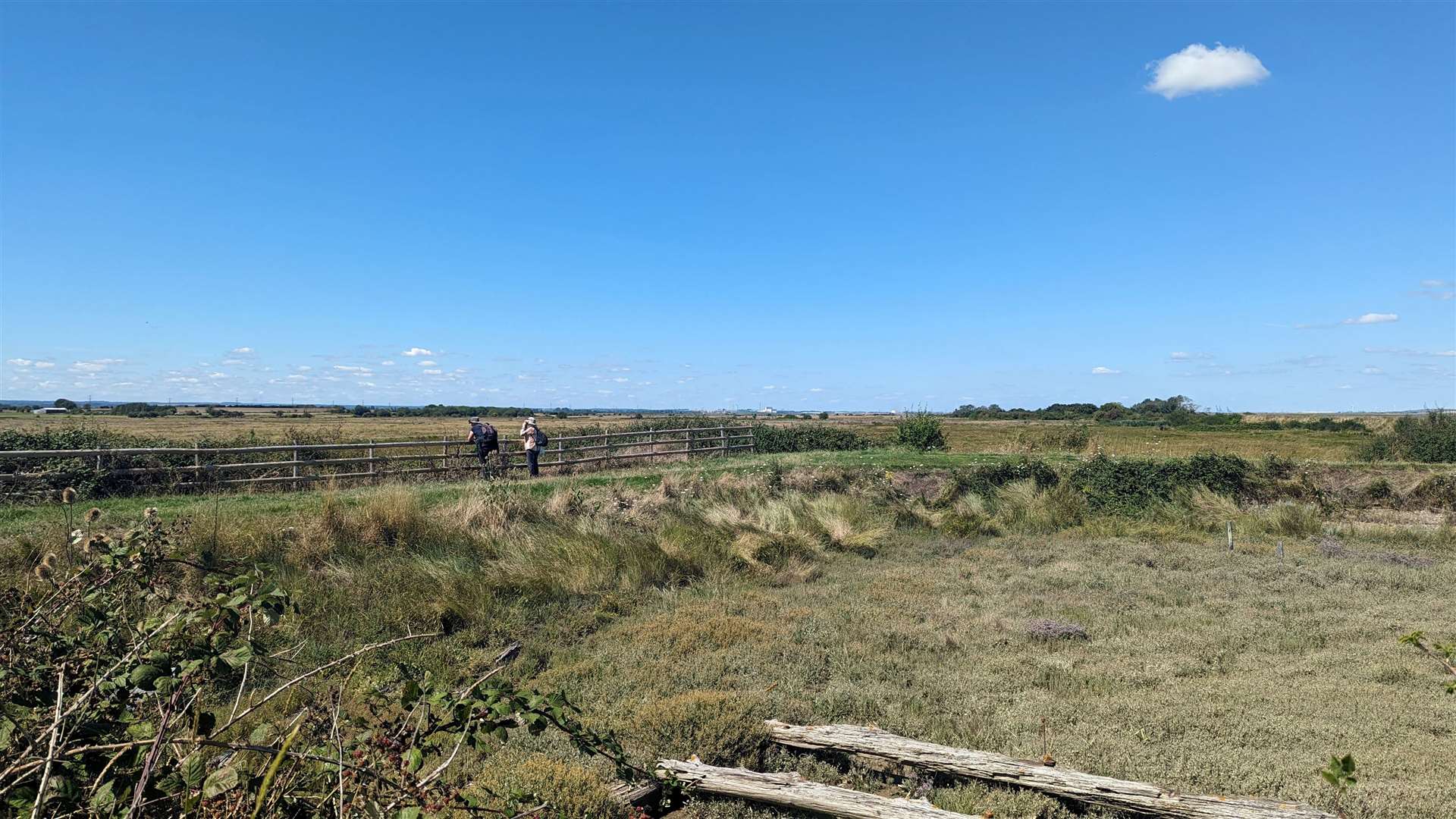 There were a number of birdwatchers out enjoying the sunny weather