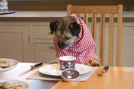 Dogs have been enjoying the Billy+Margot ice cream