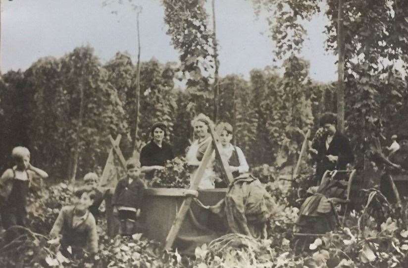 Hop picking at Crowhurst Farm in Kent in 1936. Picture: Kent Archives Service