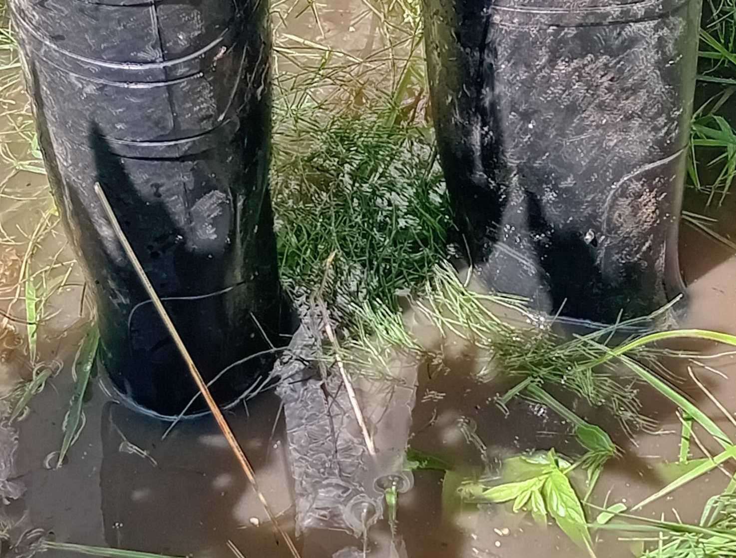 Ms Storey in her flooded garden. Picture: Vikki Storey