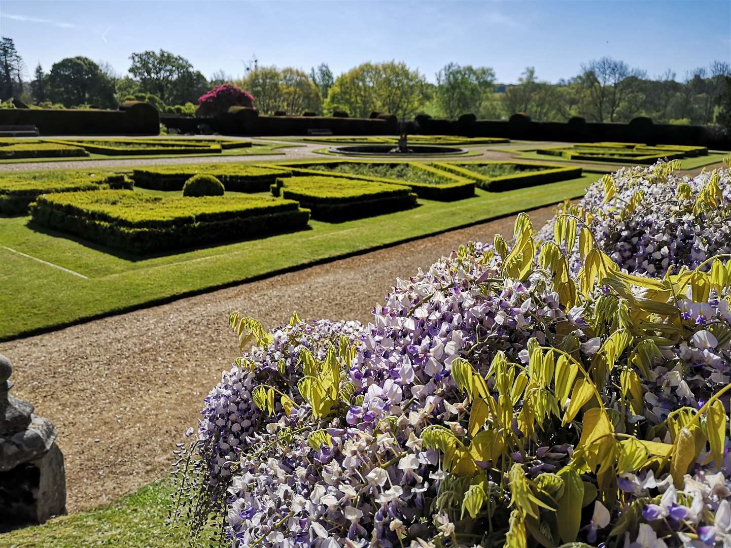 Penshurst Place's Wisteria Gardens Picture: Penshurst Place & Gardens