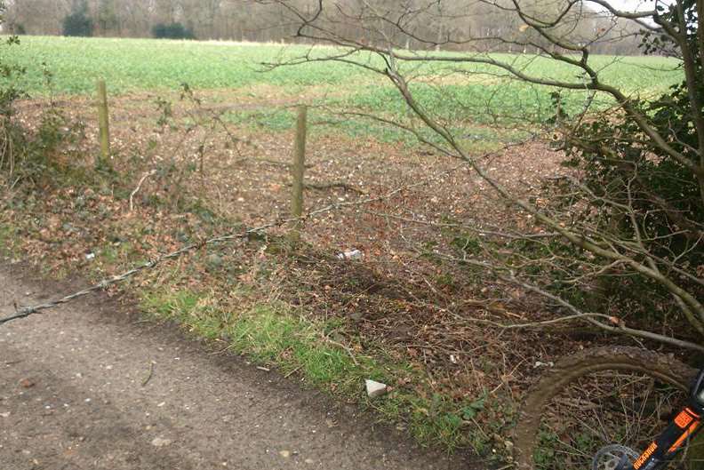 The wire appears to have been cut from a nearby barbed fence on adjoining farmland. It was tied tightly across two tree branches on either side of the path. Credit Daniel Webster