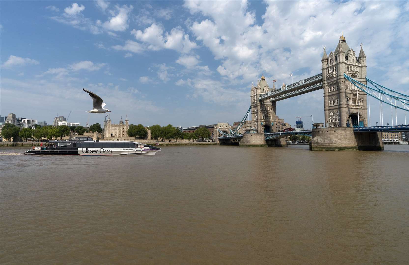 Uber Boat travelling from Gravesend to London. Picture; mickey lee mediamixer.co.uk