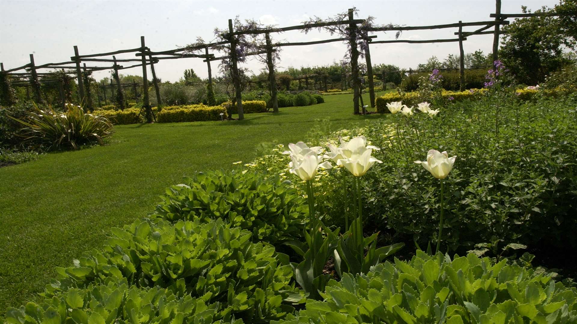 Yalding Organic Gardens has reopened as Yalding Gardens