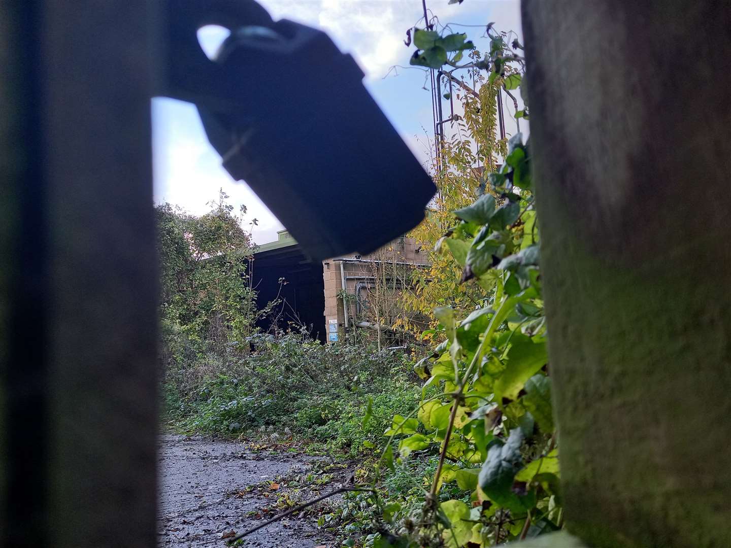 The old mill is overgrown and abandoned